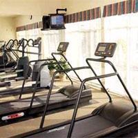 Hotel Hilton Garden Airport 3*